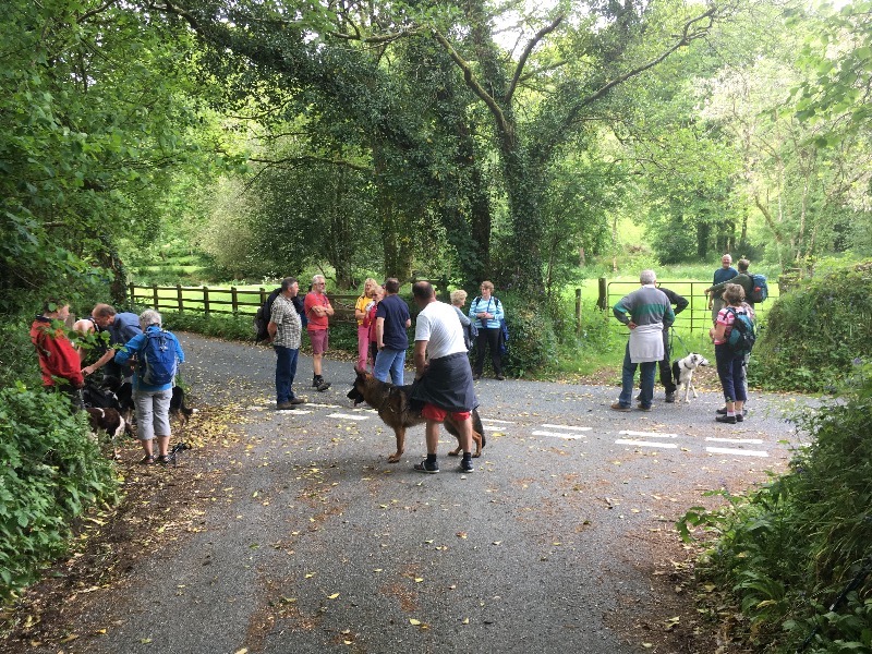 Beating the Bounds